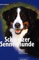 Sabine Koslowski - Schweizer Sennenhunde
