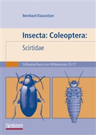 Bernhard Klausnitzer - Süsswasserfauna von Mitteleuropa - Bd. 20, Teil 17: Insecta: Coleoptera: Scirtidae