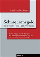 Anita Maria Spandl, Anita M. Stiegler, Anita Maria Stiegler - Schmerzensgeld für Schock- und Trauerschäden