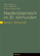 Stefan Eminger, Peter Herausgegeben von Melichar, Ern Langthaler, Ernst Langthaler, Peter Melichar - Niederösterreich im 20. Jahrhundert - Bd.2: Wirtschaft