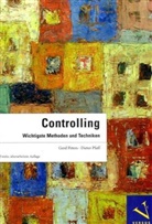 Gerd Peters, Dieter Pfaff - Controlling, m. CD-ROM