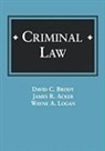 David C. Brody - Criminal Law