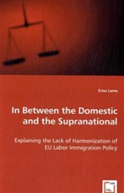 Erisa Lame - In Between the Domestic and the Supranational