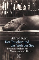 Alfred Kerr - Der Taucher und das Weh der See