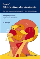 Daube, Wolfgang Dauber, Feneis, Gerhard Spitzer - Feneis' Bild-Lexikon der Anatomie