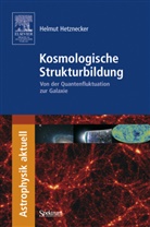 Helmut Hetznecker - Kosmologische Strukturbildung