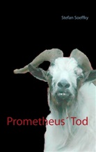Stefan Soeffky - Prometheus' Tod