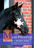 Anke Rüdbüldt, Anke Rüsbüldt - Mein Pferd ist krank - was tun?