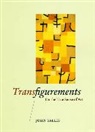 John Sallis, Sallis John - Transfigurements