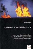 Kai Holtappels - Chemisch Instabile Gase