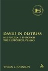 Vivian L Johnson, Vivian L. Johnson, JOHNSON VIVIAN L, Claudia V. Camp, Andrew Mein - David in Distress