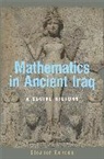 Eleanor Robson, Eleanor Robson, Robson Eleanor - Mathematics in Ancient Iraq