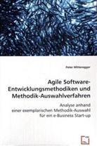 Peter Mitteregger - Agile Software-Entwicklungsmethodiken und Methodik-Auswahlverfahren