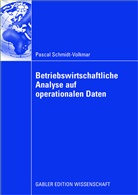 Pascal Schmidt-Volkmar - Betriebswirtschaftliche Analyse auf operationalen Daten