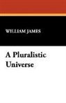 William James - A Pluralistic Universe