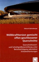 Edmund Spitzenberger - Wölbkrafttorsion gemischt offen-geschlossener Querschnitte