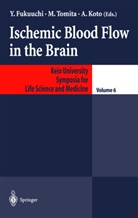 Y. Fukuuchi, A Koto, A. Koto, Tomita, M Tomita, M. Tomita - Ischemic Blood Flow in the Brain