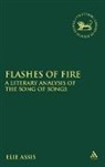 Elie Assis, ASSIS ELIE, Claudia V. Camp, Andrew Mein - Flashes of Fire