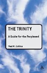 Paul M Collins, Paul M. Collins, Rev Dr. Paul M. Collins - The Trinity: A Guide for the Perplexed