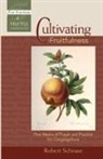 Robert Schnase, Robert C Schnase, Robert C. Schnase - Cultivating Fruitfulness
