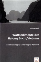 Christian Weiß - Wattsedimente der Halong Bucht/Vietnam