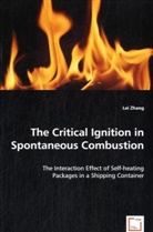 Lei Zhang - The Critical Ignition in Spontaneous Combustion