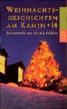 Ursula Gesamm. Richter - Weihnachtsgeschichten am Kamin 14
