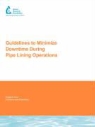 R. Timothy Ball, Terrance M. Brueck, T Rockaway, Thomas D. Rockaway, R. Ball, T. Rockaway - Guidelines to Minimize Downtime During P