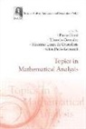Ciatti Paolo, Paolo Ciatti, Massimo Lanza de Cristoforis, Eduardo Gonzalez, Massimo Lanza De Cristoforis - Topics in Mathematical Analysis