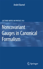 André Burnel - Noncovariant Gauges in Canonical Formalism