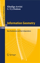 Khadig Arwini, Khadiga Arwini, C T J Dodson, C. T. J. Dodson - Information Geometry