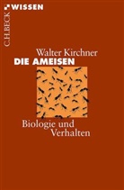 Walter Kirchner - Die Ameisen
