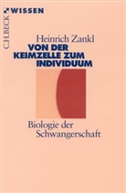 Heinrich Zankl - Von der Keimzelle zum Individuum