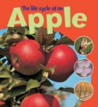 Ruth Thomson - Life Cycle of an Apple