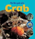Ruth Thomson - Life Cycle of a Crab