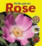 Ruth Thomson - Life Cycle of a Rose