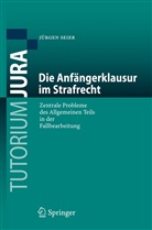 Jürgen Seier - Die Anfängerklausur im Strafrecht