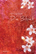 Bibelausgaben: Hoffnung für alle, Die Bibel, Senfkorn, Classic Art Edition