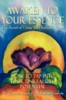 Dr Eveline Coulson, Eveline Coulson, Chaneta Lewis, Dr Chaneta Lewis, Dr. Chaneta Lewis - Awaken to Your Essence: The Secret of U