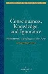 B Gupta, Bina Gupta, Prakaaasaatma - Consciousness, Knowledge and Ignorance