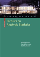 Mathia Drton, Mathias Drton, Bern Sturmfels, Bernd Sturmfels, Seth Sullivant - Lectures on Algebraic Statistics