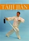 James Drewe - Taiji Jian 32-Posture Sword Form