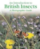 Sally Morgan - British Insects