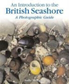 Sally Morgan - British Seashore