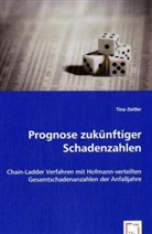 Tina Zeitler - Prognose zukünftiger Schadenzahlen