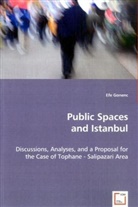 Efe Gonenc - Public Spaces and Istanbul
