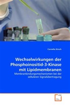 Cornelia Kirsch - Wechselwirkungen der Phosphoinositid-3-Kinase mit Lipidmembranen