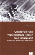 Matthias Schütz - Quantifizierung verschiedener Risiken am Finanzmarkt