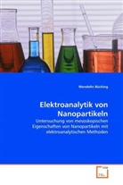 Wendelin Bücking - Elektroanalytik von Nanopartikeln