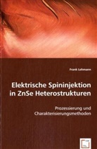 Frank Lehmann - Elektrische Spininjektion in ZnSe Heterostrukturen